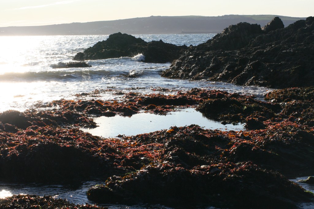 Lower shore at Pwllgwaelod Bay